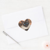 Siamese kat stickers (Envelop)