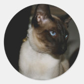 Siamese kat Stickers (Voorkant)