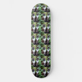 Siamese Kat Twins, Skateboard (Voorkant)