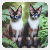 Siamese kat Twins, Stickers (Voorkant)