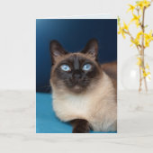 SIAMESE KAT VERJAARDAG MOOI WENSKAART KAART (Gele Bloem)