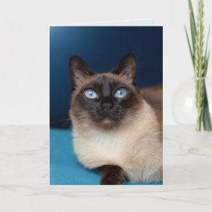 SIAMESE KAT VERJAARDAG MOOI WENSKAART KAART