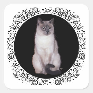 Siamese Kat Vierkante Sticker