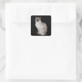 Siamese Kat Vierkante Sticker (Tas)
