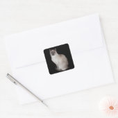 Siamese Kat Vierkante Sticker (Envelop)