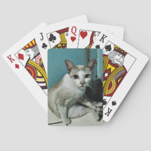 Siamese kat-vriend speelkaarten