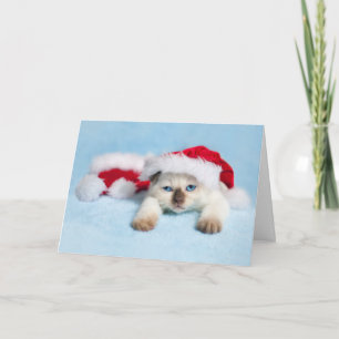 Siamese Katje: Het Kat van Kerstmis Feestdagen Kaart