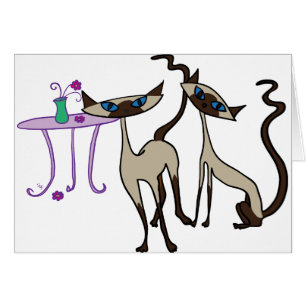 Siamese katten