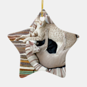 Siamese katten alleen Chillin! Keramisch Ornament