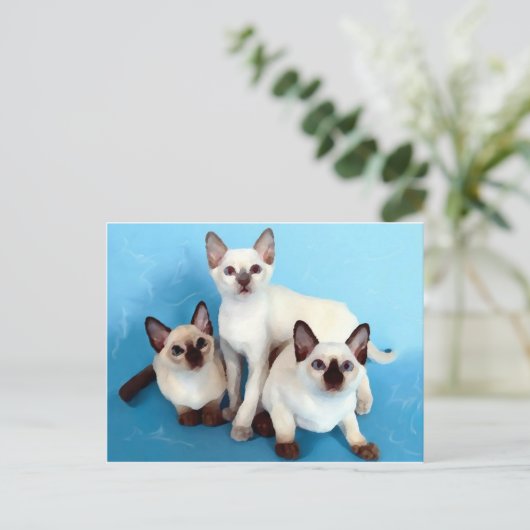 Siamese katten briefkaart (Staand voorkant)