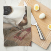 Siamese katten die op een bank wegvallen theedoek (Quarter Fold)