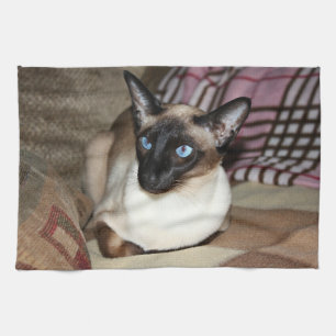 Siamese katten die op een bank wegvallen theedoek
