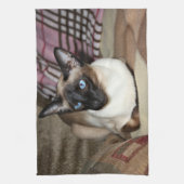 Siamese katten die op een bank wegvallen theedoek (Verticaal)