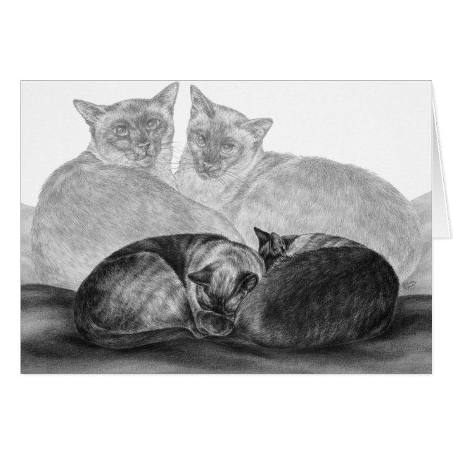 Siamese katten getekend door Kelli Swan (Voorkant Horizontaal)