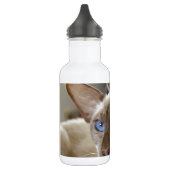 Siamese Katten Huisdieren Dieren Waterfles (Links)