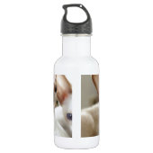 Siamese Katten Huisdieren Dieren Waterfles (Achterkant)
