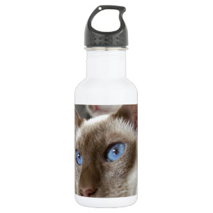 Siamese Katten Huisdieren Dieren Waterfles