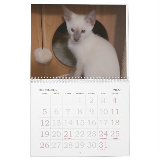 Siamese katten kalender (Dec 2027)