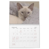 Siamese katten kalender (Feb 2027)