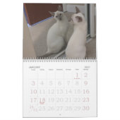 Siamese katten kalender (Jan 2027)