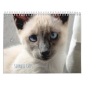 Siamese katten kalender (Hoes)