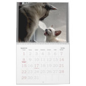 Siamese katten kalender (Mar 2026)