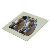 Siamese katten met morende glorie tegeltje (Zijkant)