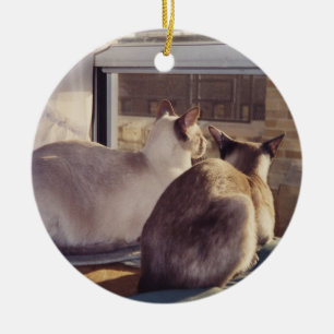 Siamese katten twee op raam (2) keramisch ornament