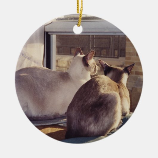 Siamese katten twee op raam (2) keramisch ornament (Voorkant)