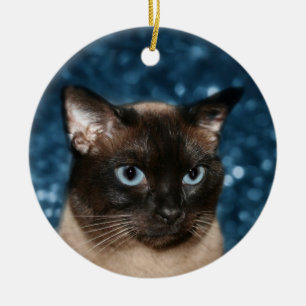 Siamese kattengezicht keramisch ornament