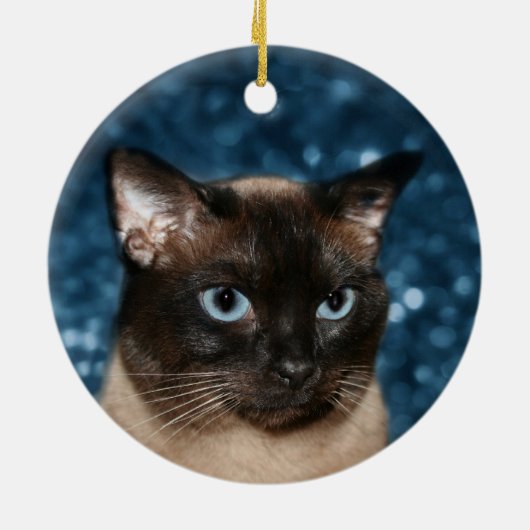 Siamese kattengezicht keramisch ornament (Achterkant)