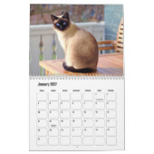 Siamese kattenkalender kalender (Jan 2027)