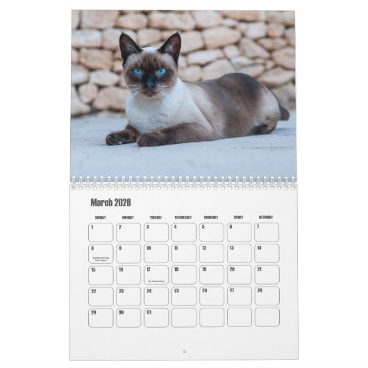 Siamese kattenkalender kalender (Mar 2026)