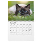 Siamese kattenkalender kalender (Feb 2026)