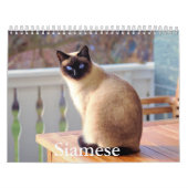 Siamese kattenkalender kalender (Hoes)