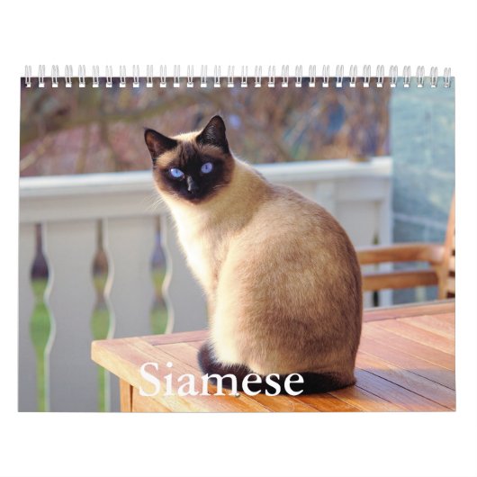 Siamese kattenkalender kalender (Hoes)