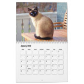 Siamese kattenkalender kalender (Jan 2026)
