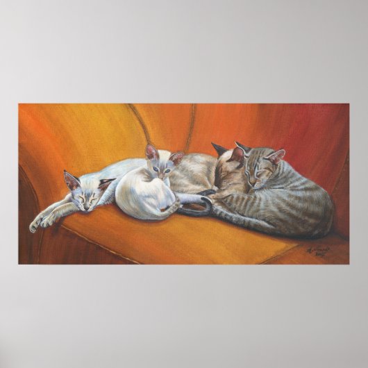 Siamese Kattenkatten "Family Nap" Art poster (Voorkant)