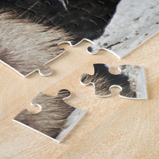 Siamese kattenpuzzel legpuzzel (Zijkant)