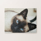 Siamese kattenpuzzel legpuzzel (Horizontaal)