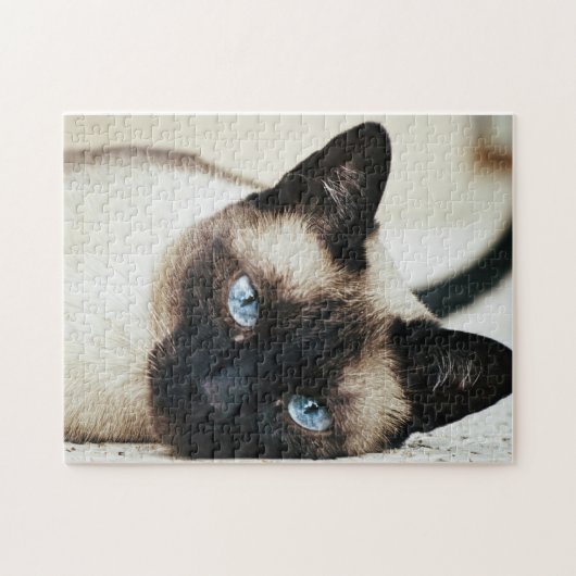 Siamese kattenpuzzel legpuzzel (Horizontaal)