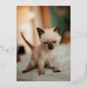 Siamese kerst folie feestdagenkaart (Achterkant)