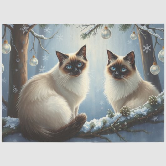 Siamese Kerstkatten Vloeipapier Tissuepapier (Voorkant)