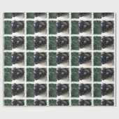 Siamese kerstwinter cadeaupapier (Vlak)