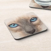 Siamese Kitten Bier Onderzetter (Linkerzijde)