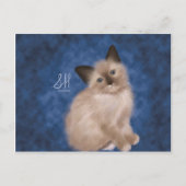 Siamese Kitten Briefkaart (Voorkant)
