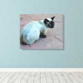 Siamese kitten canvas afdruk (Insitu (Houten vloer))