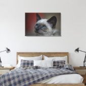 Siamese kitten canvas afdruk (Insitu (Slaapkamer))