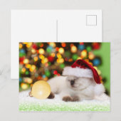 Siamese Kitten: Gold Ornament Briefkaart (Voorkant / Achterkant)