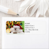 Siamese Kitten: Gold Ornament Etiket (Insitu)